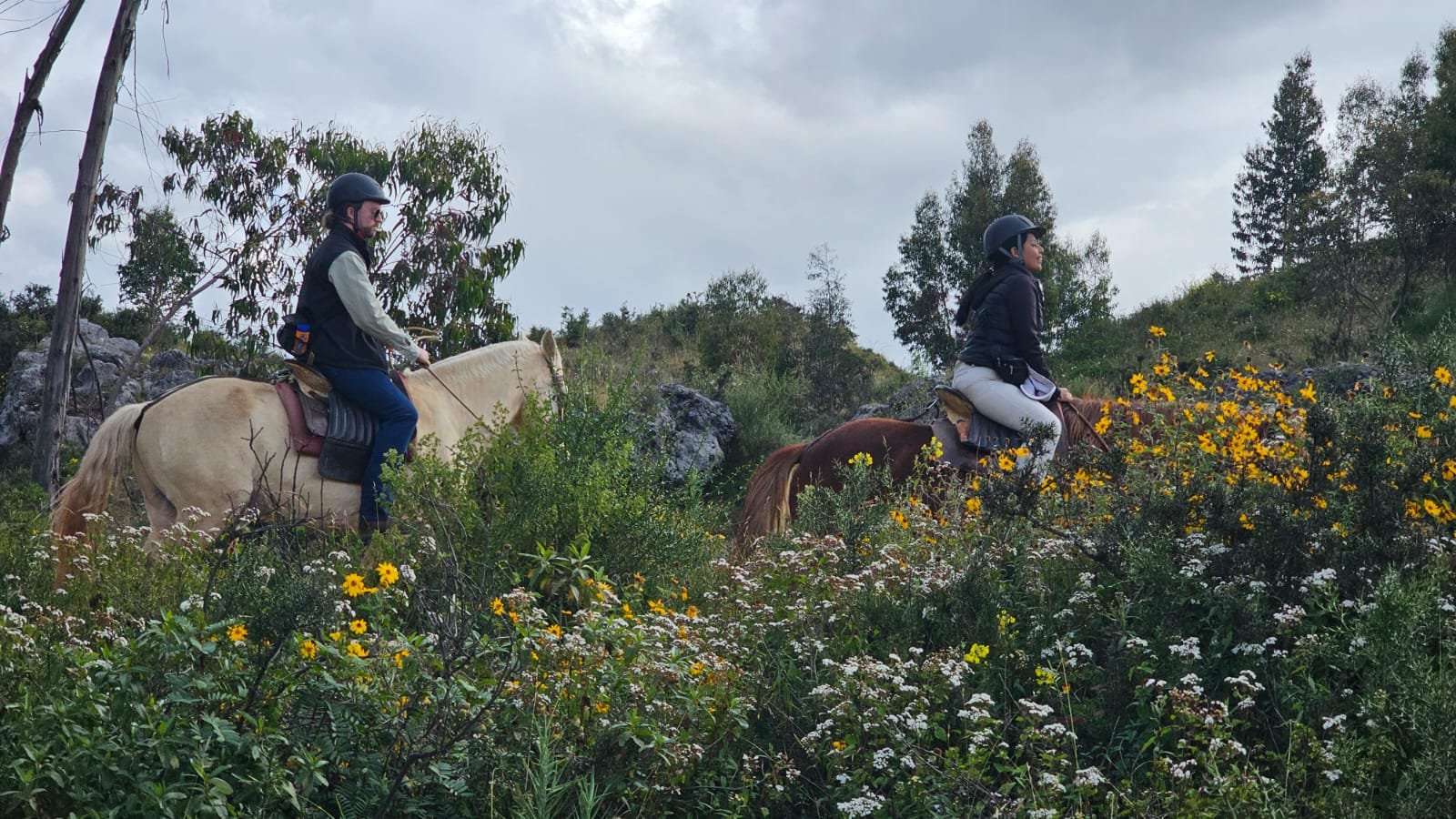 Horseback riders through wildflower meadow near Cusco