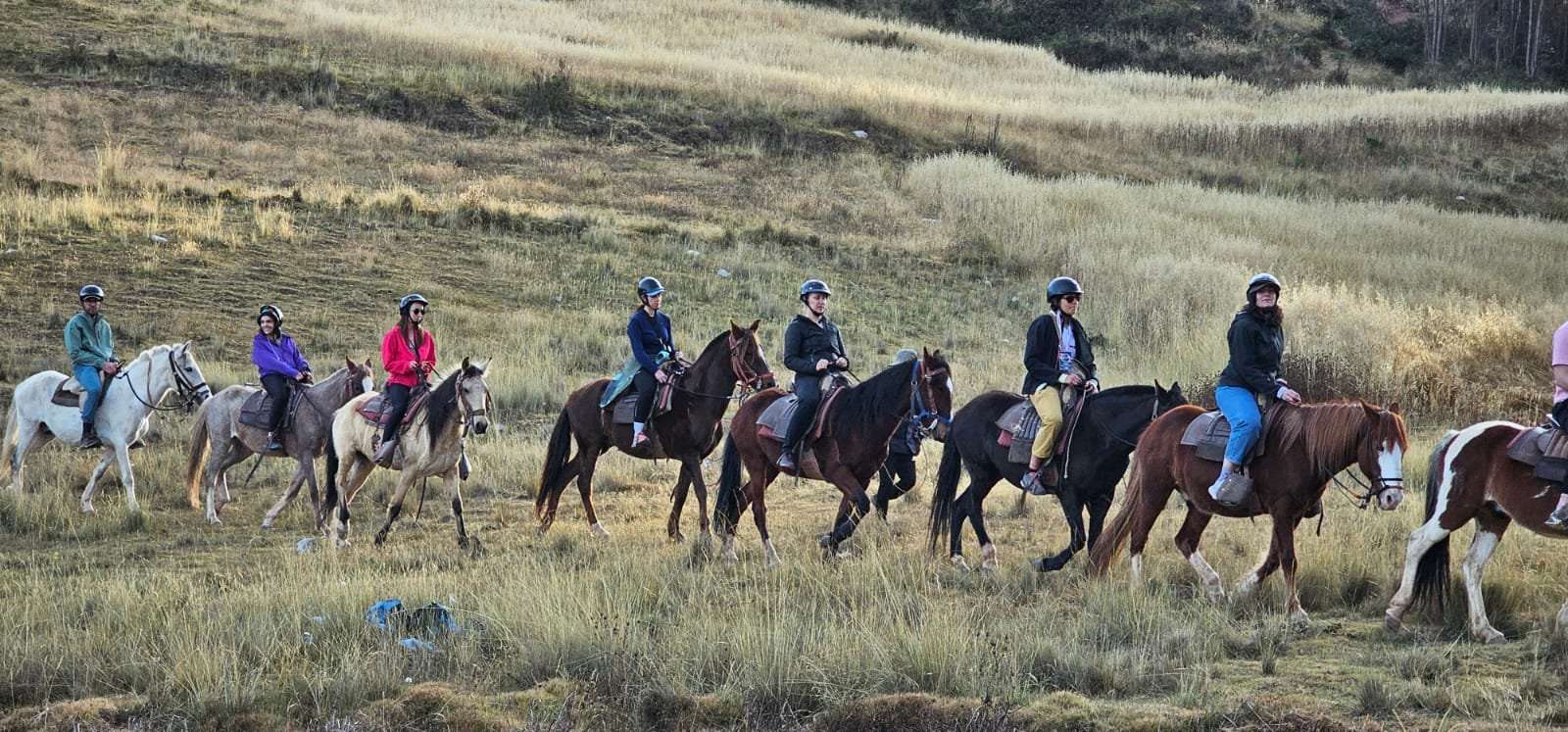 Large group horseback riding across Cusco grassland