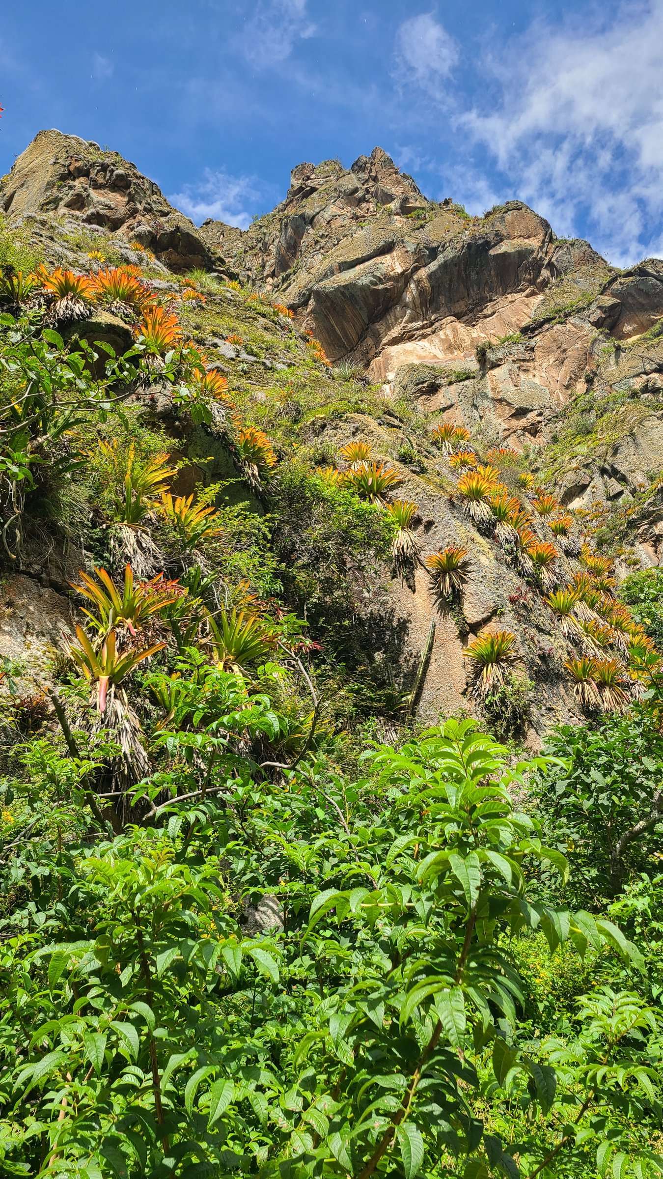 trekkers hiking the inca trail through andean landscape