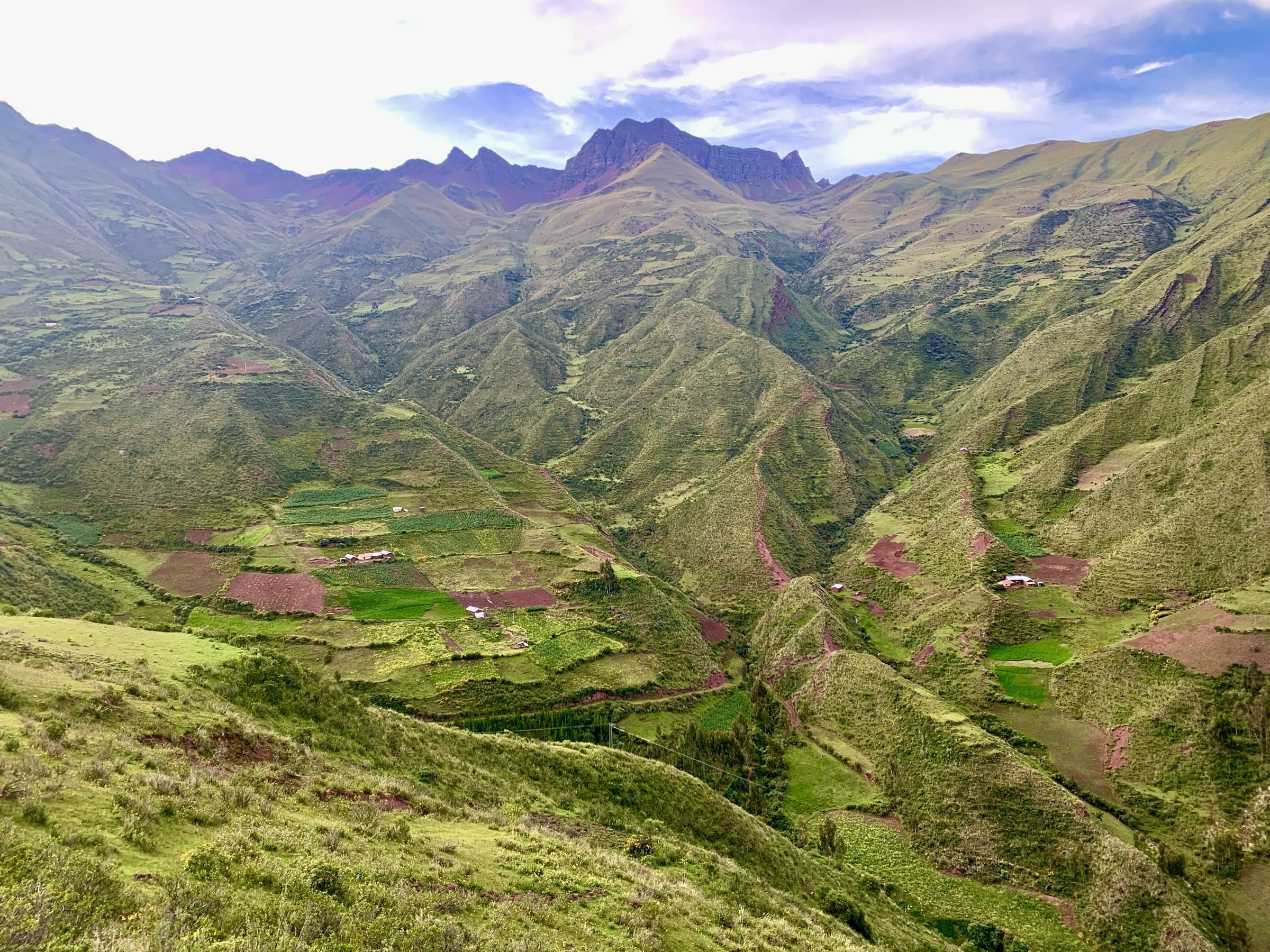 Lush green cloud forest valley in Peru - prime birdwatching habitat