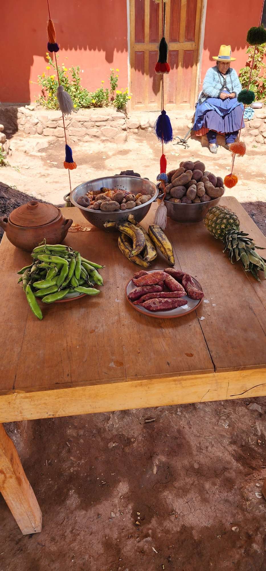 Native potatoes, fava beans, sweet potatoes and other Andean produce laid out before the pachamanca cook